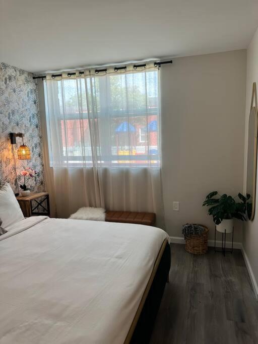 Home Haven, Walk To Little Italy & Wooster Square New Haven Luaran gambar